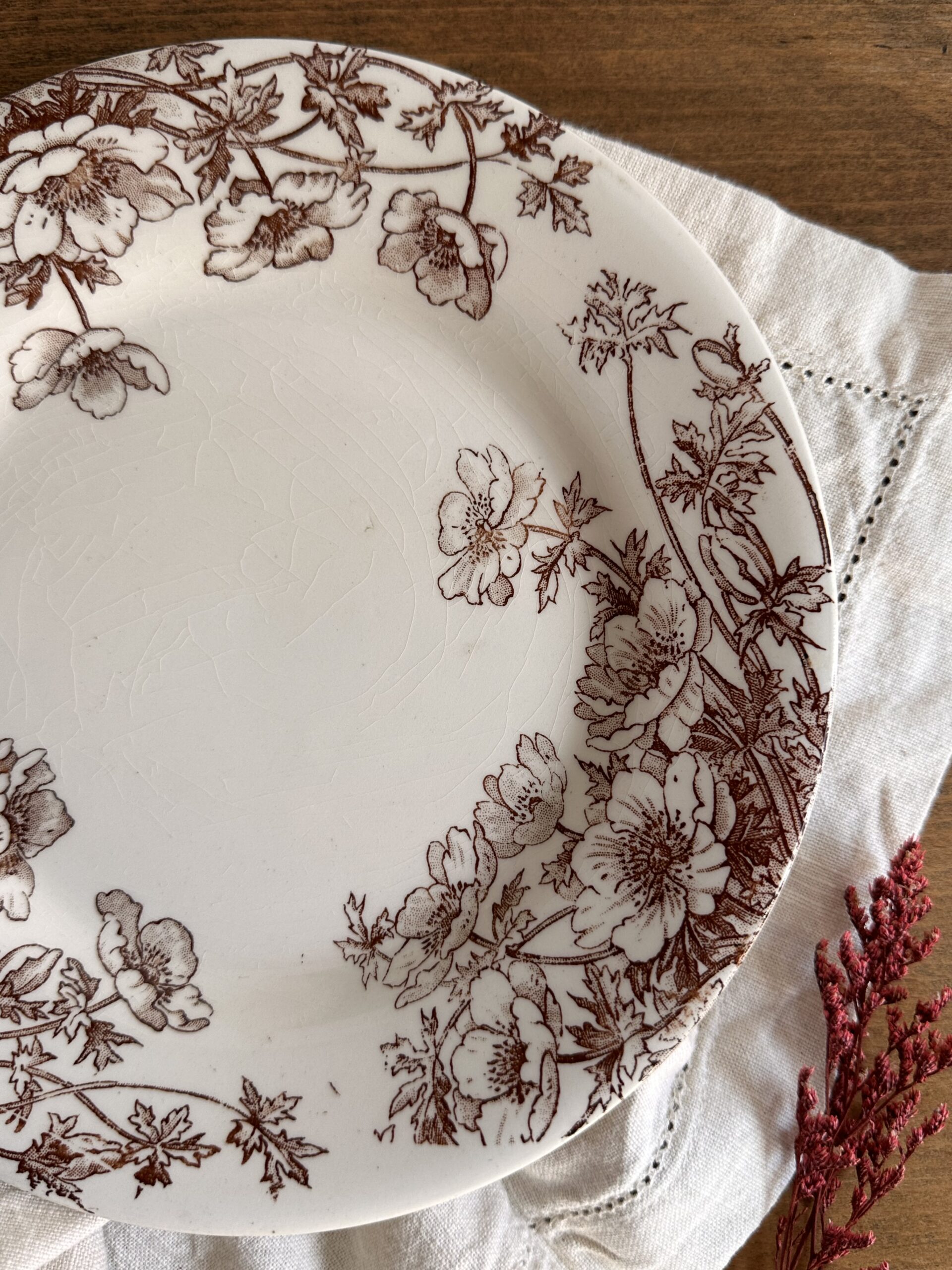 Assiette Gien Anemones