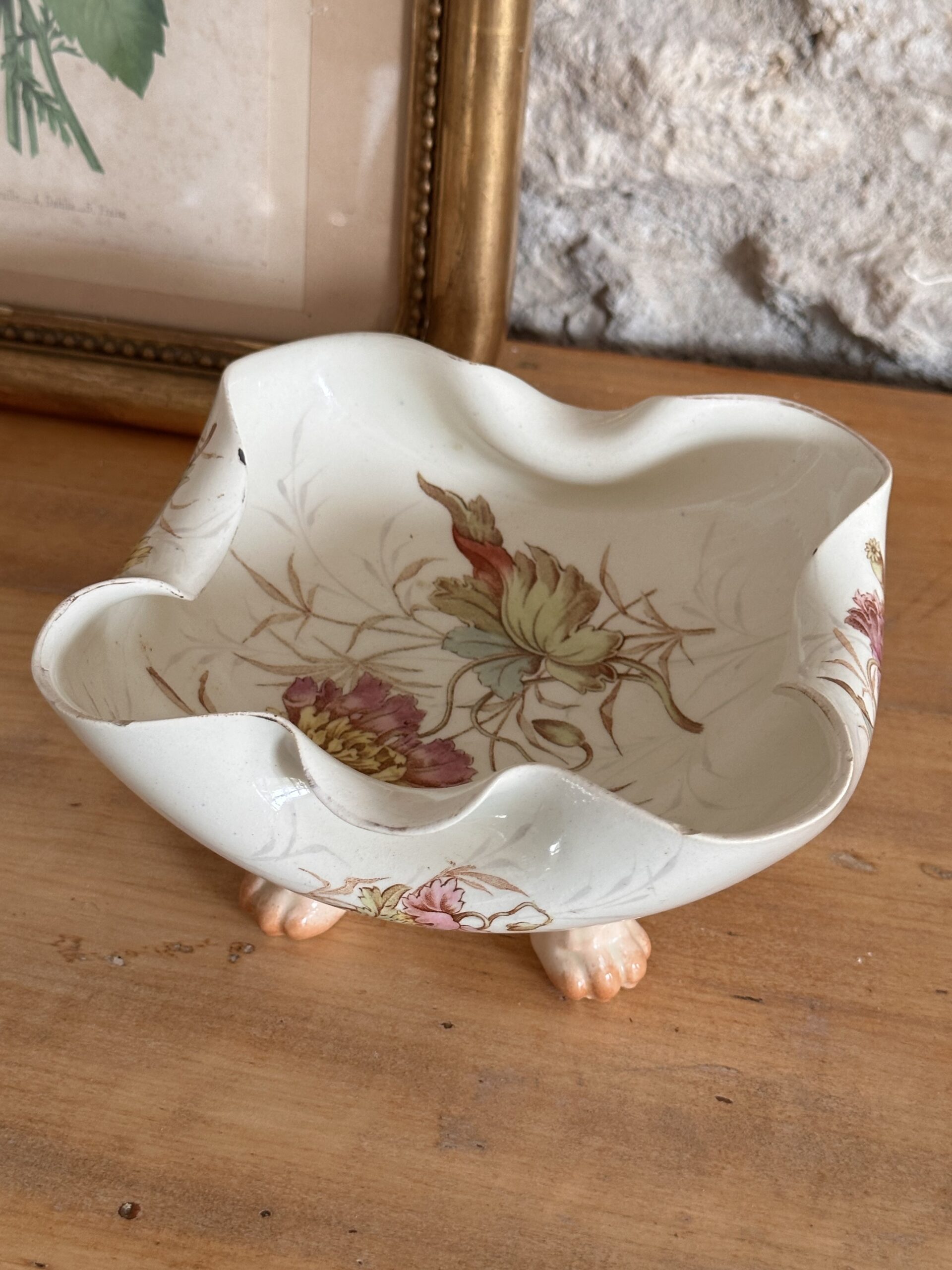 coupe luneville polychrome